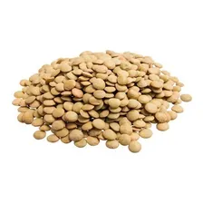 Lentilha Canadense 1 Kg Foto mini 1