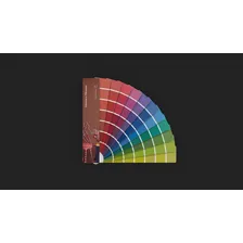 Leque De Cores Suvinil Foto mini  3