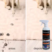 Limpa Tecidos Spray 500ml Bellinzoni Kit 3 Foto mini 2