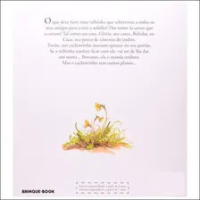 Livro A Velhinha Que Dava Nome Às Coisas De Cynthia Rylant Da Editora Brinque-Book Foto mini 3