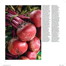 Livro Agroneg贸cio Brasileiro Foto mini 2