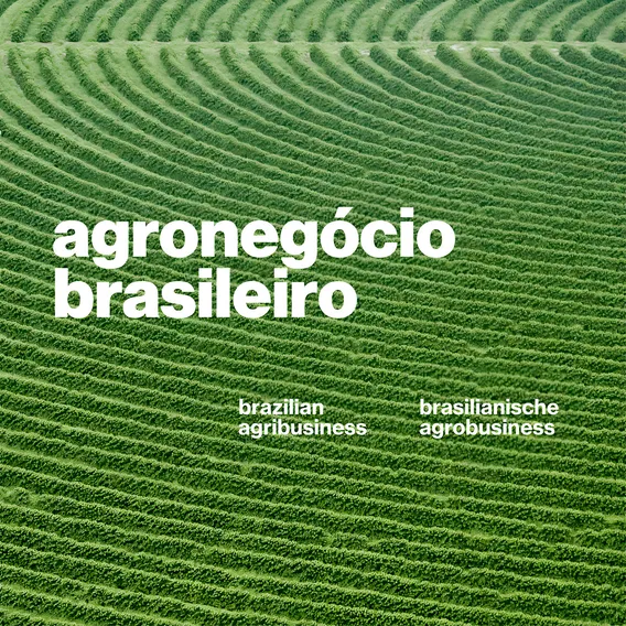 Livro Agroneg贸cio Brasileiro Foto 1