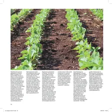 Livro Agroneg贸cio Brasileiro Foto mini 4