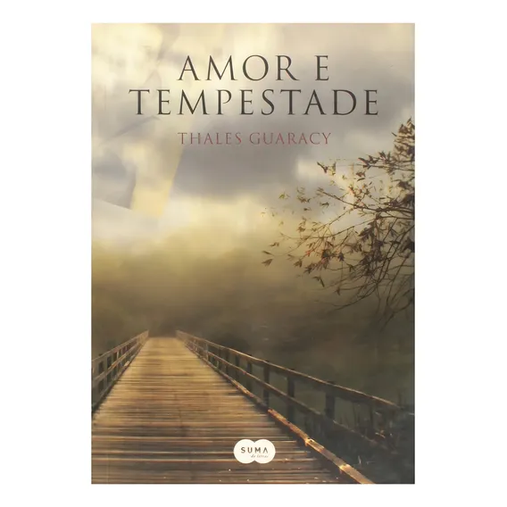 Livro Amor E Tempestade Foto 1