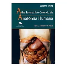 Livro - Atlas Anatomia Humana - T贸rax, Abdome E Pelve Foto mini 1