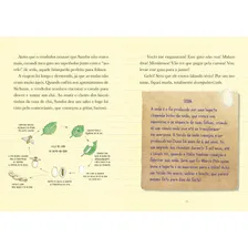 Livro Diário De Pilar Na China Nova Edição De Flávia Lins Silva Da Editora Pequena Zahar Foto mini 3
