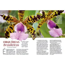 Livro - Mestre Das Orquídeas: Orquídeas Brasileiras Volume 2 Foto mini  3