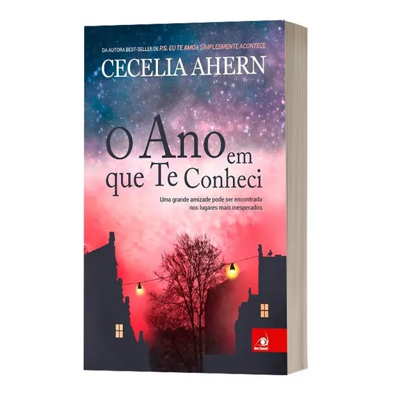 Livro O Ano Em Que Te Conheci - Cecelia Ahern Foto 1