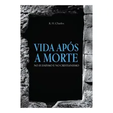 Livro Vida Após A Morte No Judaísmo E No Cristianismo Foto mini 3
