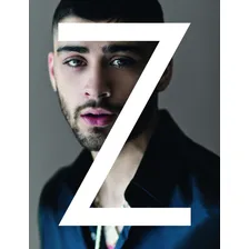 Livro Zayn Foto mini 2