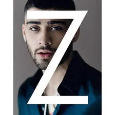 Livro Zayn Foto mini 1
