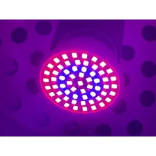 Lâmpada 60 Led Grow Planta Cultivo Indoor Estufa Fullsp 110v Cor Da Luz Full Spectrum Foto mini 3