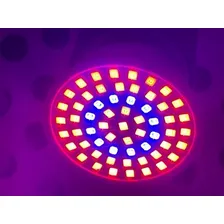 Lâmpada 60 Led Grow Planta Cultivo Indoor Estufa Fullsp 110v Cor Da Luz Full Spectrum Foto mini 4