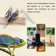 Lâmpada Cerâmica De Aquecimento, Répteis E Aves 110v 100w Foto mini 4