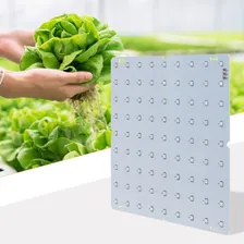 Lâmpada De Crescimento De Plantas Led Grow Led Para Estufa I Cor Da Luz Multicolor Foto mini  3