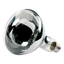 Lâmpada De Secagem 250w 127v Para Estufa Uso Geral E-27 Aquario Luzes Branco 220v Foto mini 4