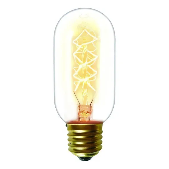 Lâmpada Filamento De Carbono Retrô T45 Blumenox 220v Foto 1