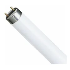 Lâmpada Fluorescente Tubular 40w T10 5000k - Philips Cor Da Luz Branco Frio 5000k Voltagem 110v/220v Foto mini 4