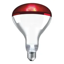 Lâmpada Infravermelha 250w 110v Foto mini 1