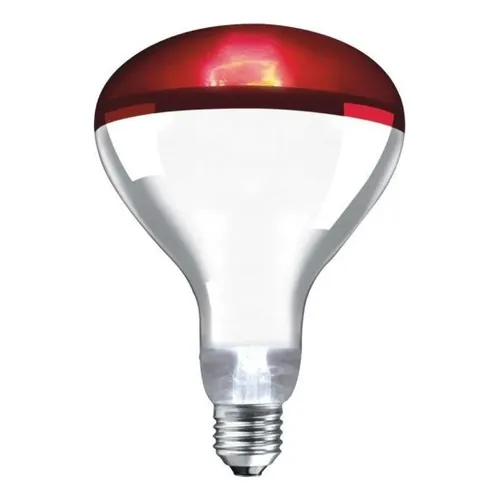 Lâmpada Infravermelha 250w 110v Foto 1