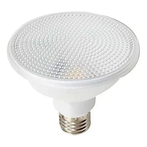 Lâmpada Par30 Led 11w 6500k E27 Bivolt Foto 1