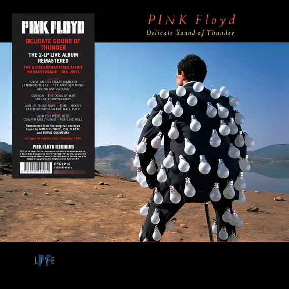 Lp Pink Floyd Delicate Sound Of Thunder Vinil 180g Duplo Foto 1