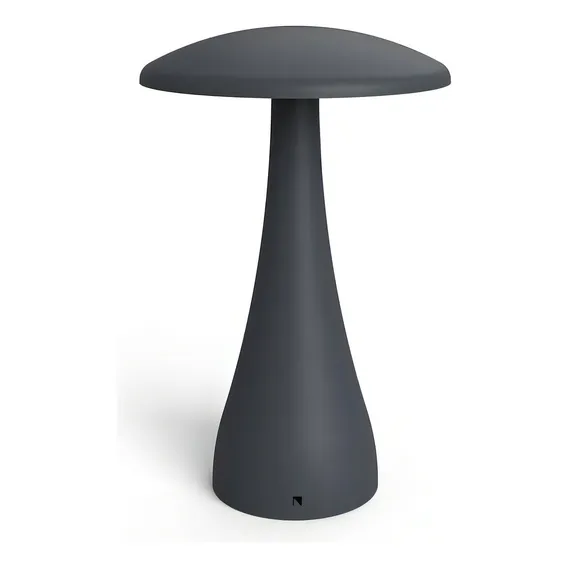 Luminária De Mesa Portátil Com Bateria Recarregável Foto 1
