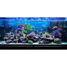 Luminaria Em Led Nour Plus Marine 100cm Ocean Tech bivolt Foto mini 4