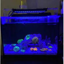 Luminária Led 40w Aquário Cubo Marinho 40cm Corais C/ Dimmer 127/220v Foto mini 4