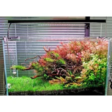 Luminária Led Wrgb2 Pro 45cm 56w (5000 Lúmens) Bivolt Foto mini  3