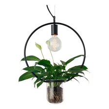 Lustre Pendente Avant Nature Redondo Preto E27 Bivolt 110V/220V (Bivolt) Foto mini 1