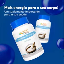 Magnésio Dimalato 100% Idr 500mg 60 Cáps - Fibromialgia Foto  mini 1