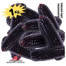 Maiz Morado Roxo 1 Kilo Milho Peruano Fazer Suco Y Semente Foto mini 1