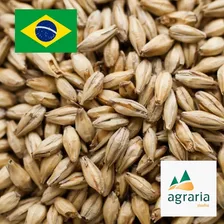Malte Pilsen Agrária 5 Kilos Cerveja Artesanal Foto mini 4