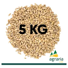 Malte Pilsen Agrária 5kg Foto mini 2