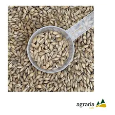 Malte Pilsen Agrária 5kg Foto mini 1