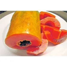 Mamão Anão Para Vasos - Fruta - Frutas Sementes Para Mudas Foto mini 4
