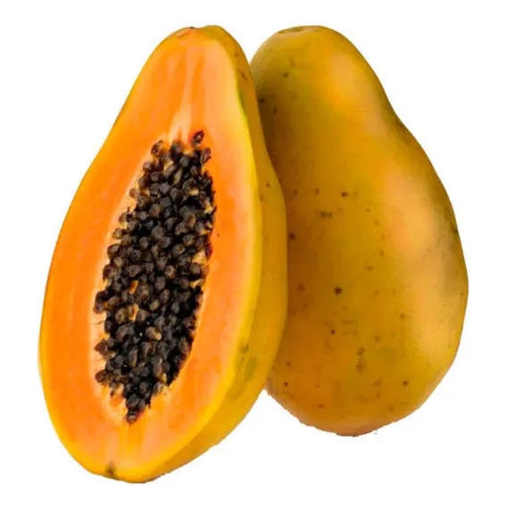 Mamão Papaya Hawaii - 2.50gr De Sementes Foto 1