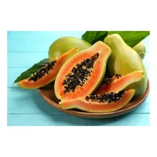 Mamão Papaya Hawaii - 600mg = 39 Sementes Aproximado Foto mini 2