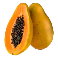 Mamão Papaya Hawaii - 600mg = 39 Sementes Aproximado Foto mini 3