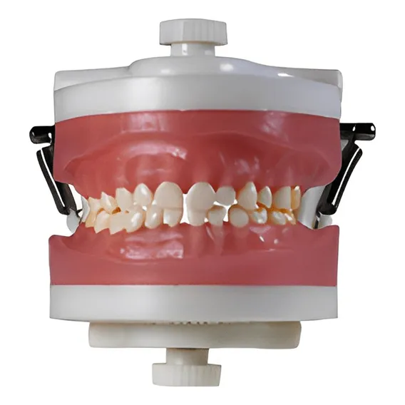 Manequim De Odontopediatria Pd114 - Pronew Foto 1