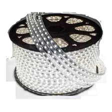 Mangueira Led 5050 Chata 30 Metros Branco 220v + Conector Cor da luz Branco-frio Foto mini 1