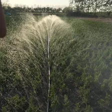 Mangueira Santeno Pro - Irrigação Microperfurada -100 Metros Cor Preto Foto mini 4