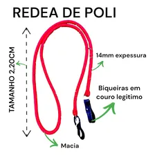 Manta Cavalo Baixeiro Cabresto + Redea + Freio Inox Foto mini  3