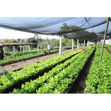Manual Prático Para Construção Horta Orgânica E Hidropônica Foto mini 2