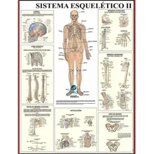 Mapa Do Corpo Humano Sistema Esqueleto Ii 120cm Foto mini 1