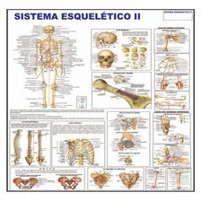 Mapa Do Corpo Humano Sistema Esqueleto Ii 120x90cm Foto mini 1