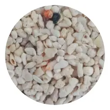 Marine Sand Substrato Natural Colombo 5kg -m: 2-3 Mm Foto mini 2
