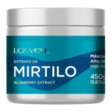 Máscara Alto Impacto Mirtilo Lowell 450g Foto  mini 1