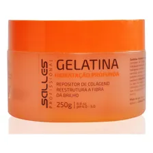 Mascara Gelatina Capilar Repositor De Colageno Salles 250 Gr Foto mini  2